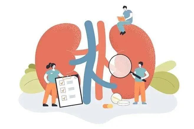 超声科护士手把手教你读懂肾脏超声检查报告