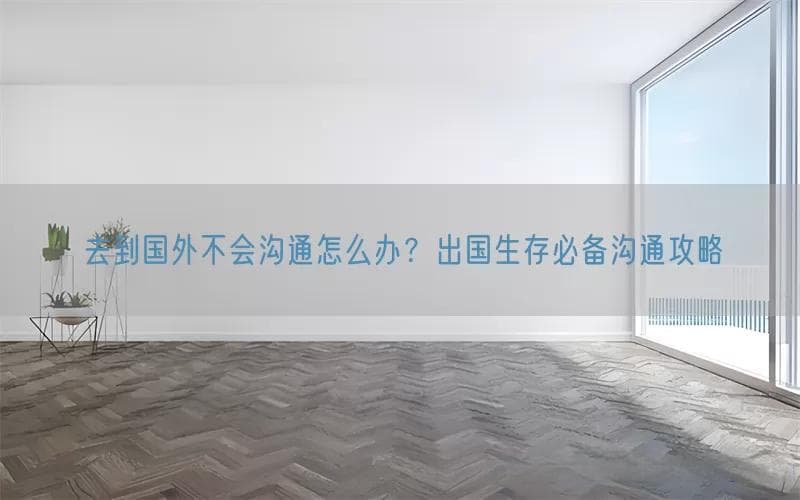 去到国外不会沟通怎么办？出国生存必备沟通攻略
