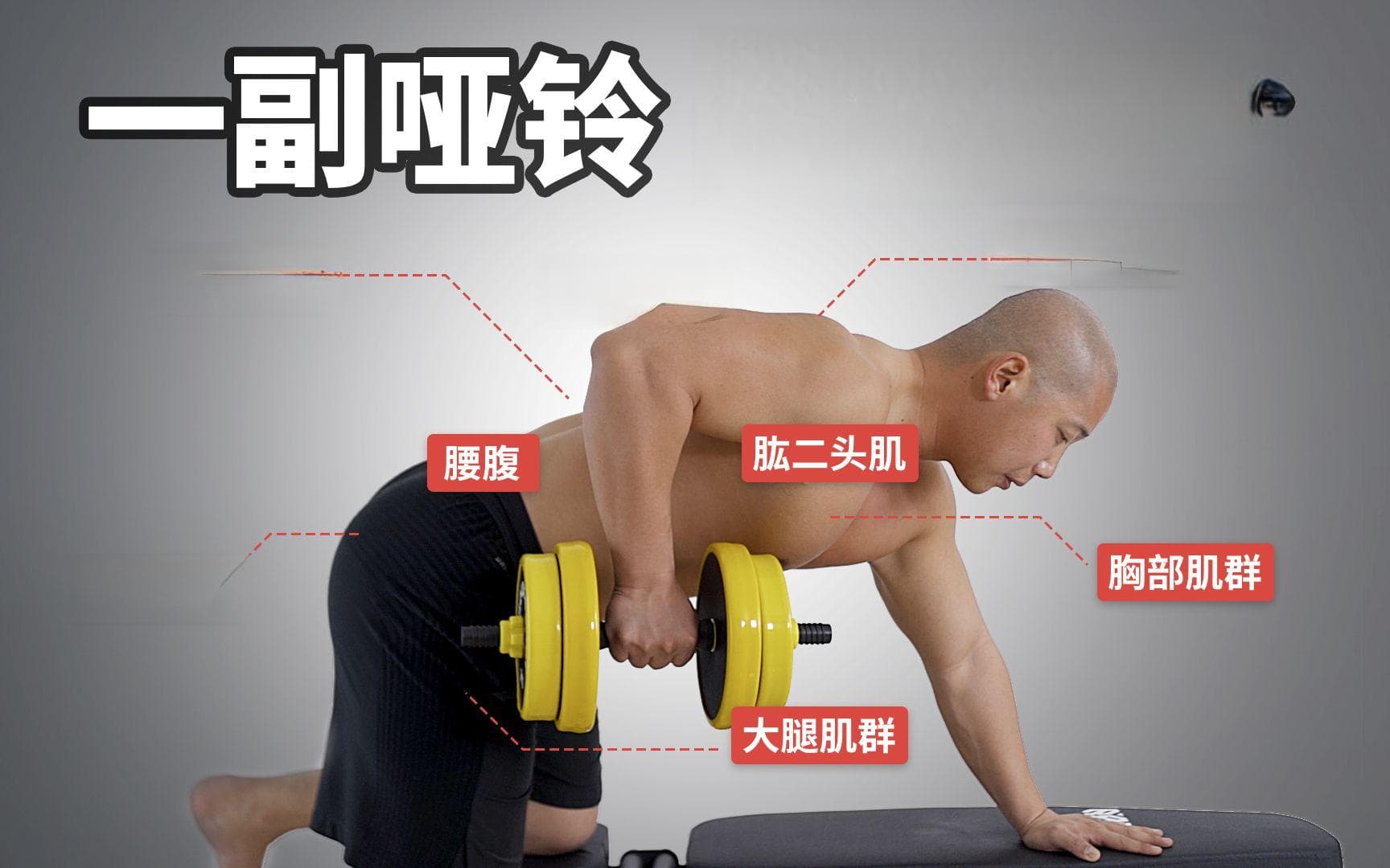 B站最全！30个家庭哑铃增肌动作教学（含计划安排）