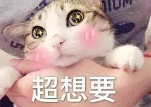 专家提醒：谨防网购成瘾-网购成瘾怎么治