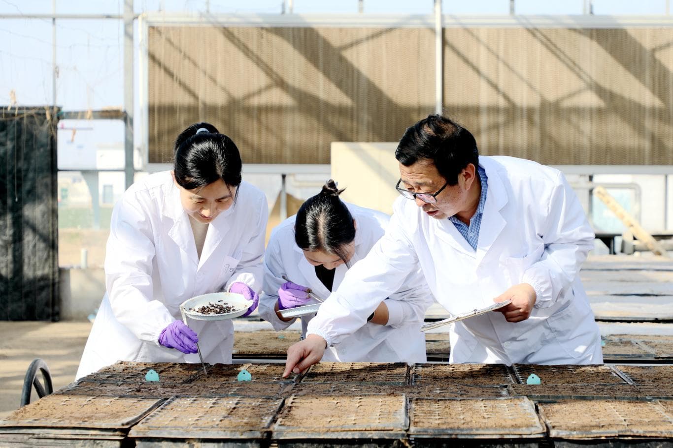 为中国苹果高质量发展接续奋斗