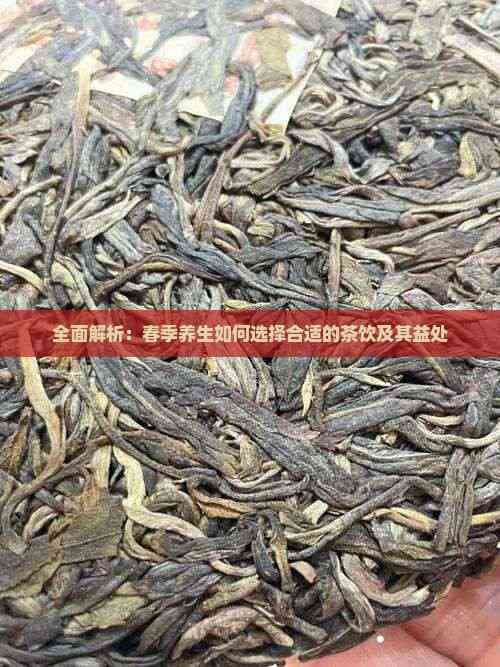 全面解析：春季养生如何选择合适的茶饮及其益处