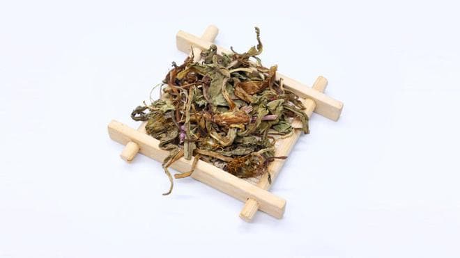“药草皇后”蒲公英，究竟是晒干泡水喝好，还是新鲜的泡水喝好？