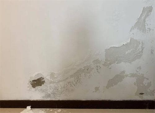 墙体返潮怎么办？从成因分析到彻底处理方案