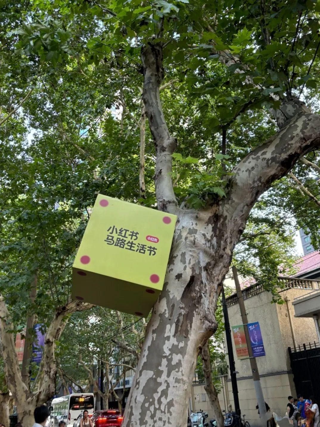 小红书马路生活节，更适合年轻人体质的“领鸡蛋”活动