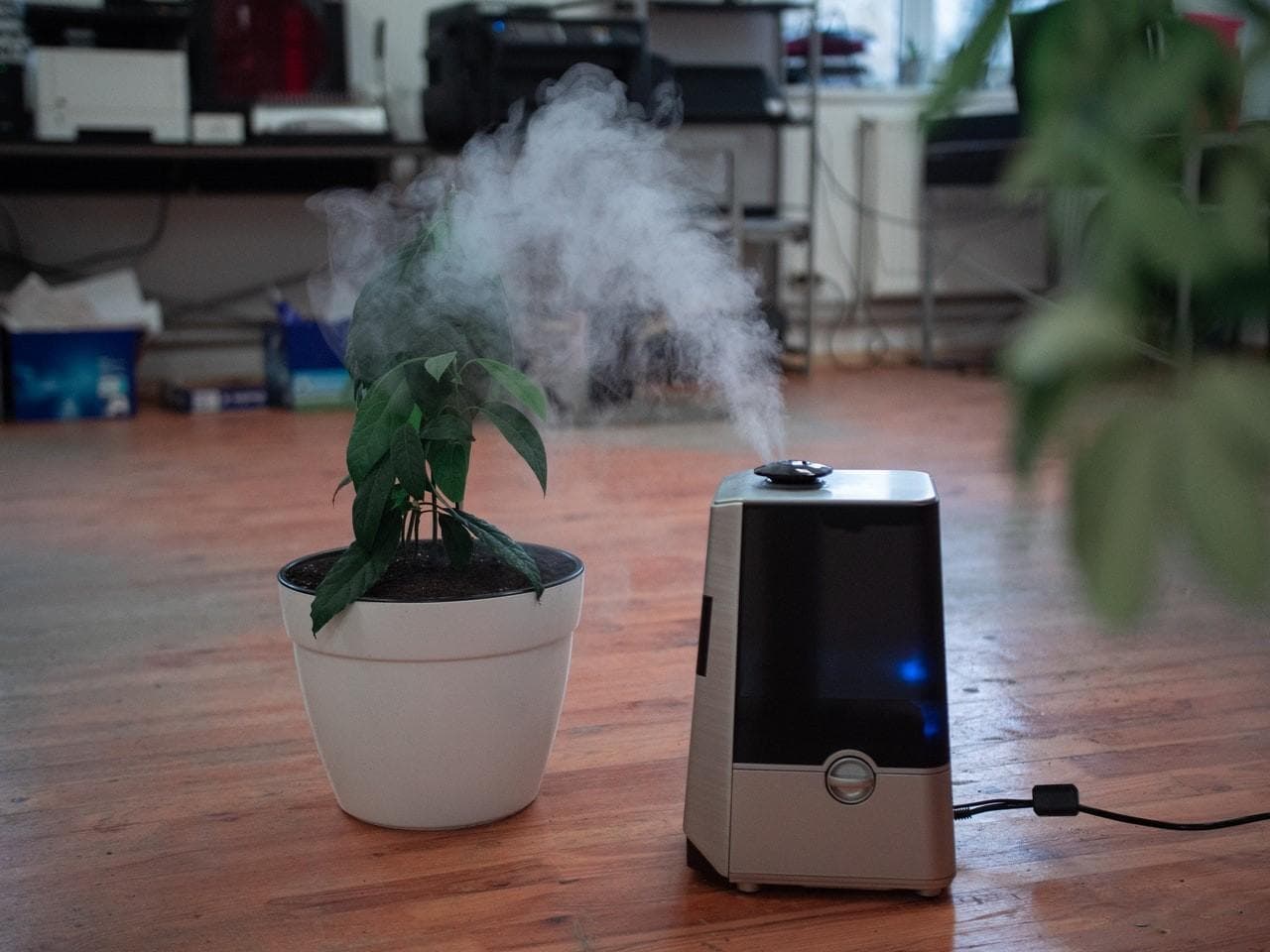加湿器怎么清洗教程（5个步骤教你正确清洁）