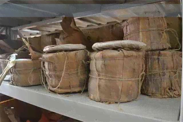 古树名木的文化价值研究：探索其历史文化意义及现代影响