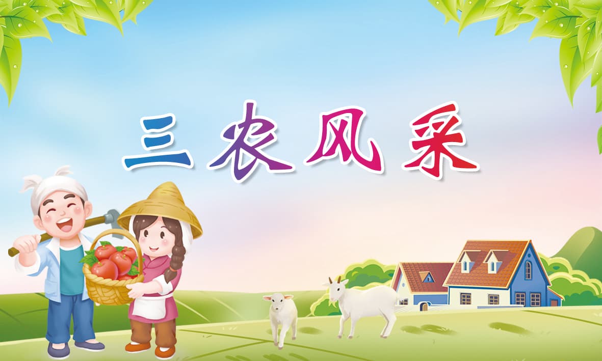 2024铜川大樱桃采摘旅游季直播宣传系列活动圆满落幕