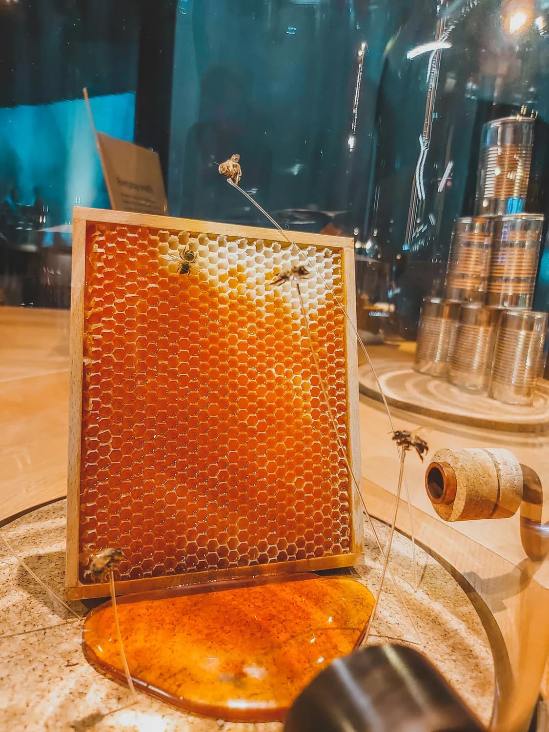 南工大膜技术新突破：从实验室到产业化的飞跃