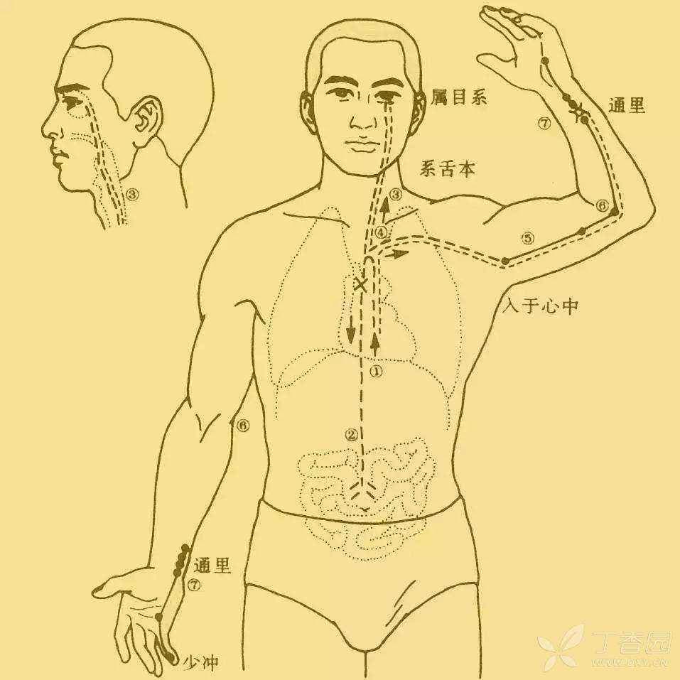 经络养生：4个穴位按摩缓解肠胃不适