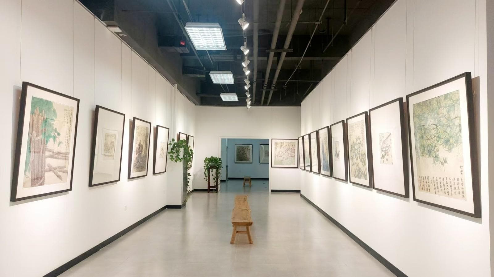 本草丹青：董希源以国画展现中药材之美
