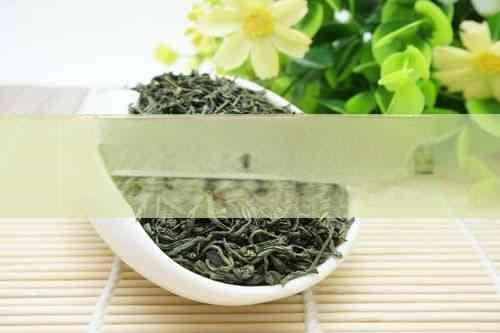 探究杜仲与茶叶一同泡水饮用的适宜性