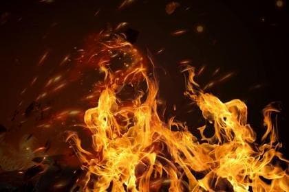 “芮”字五行属什么？详解其文化内涵与取名寓意