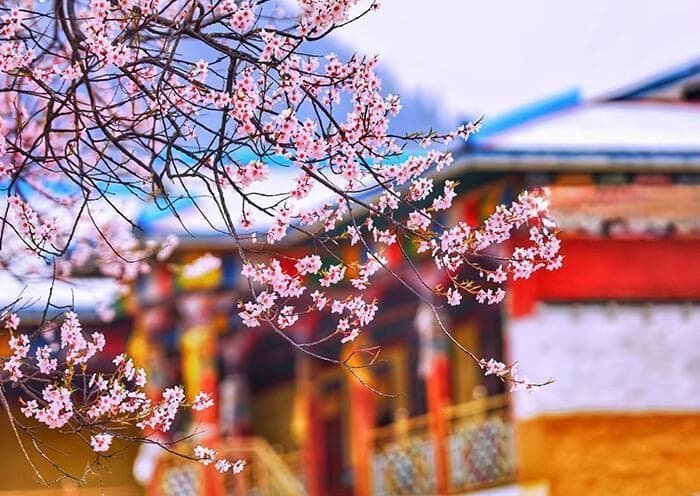 川藏线最佳旅游时间全攻略：从南线到北线，热门景点最佳游览期详解