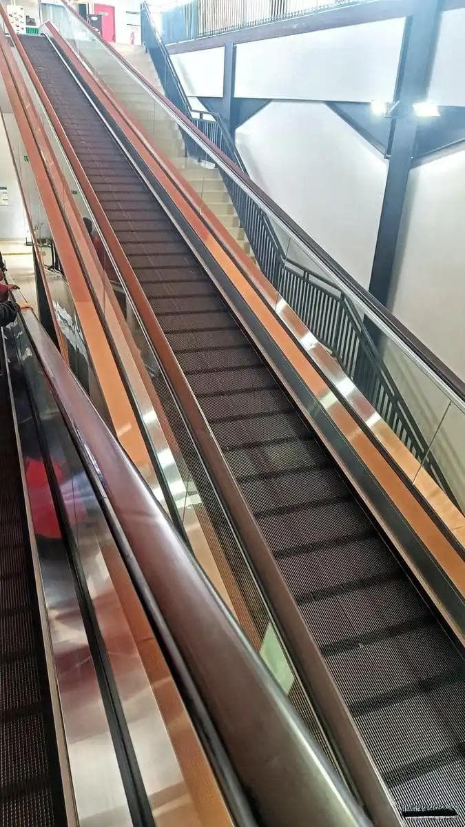 安全警示：揭秘逆行乘坐扶梯为何会导致严重事故？