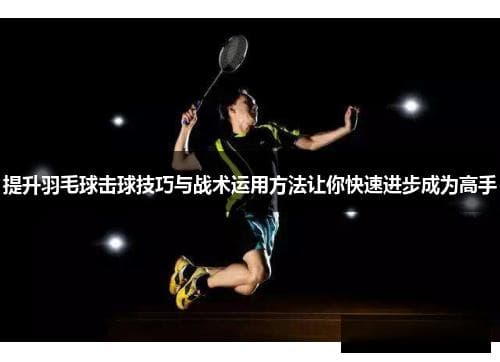 提升羽毛球击球技巧与战术运用方法让你快速进步成为高手
