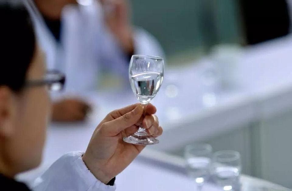 白酒感官品评的环境要求是什么？
