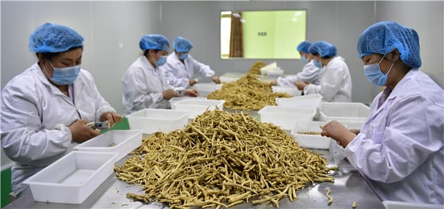 文登区：特色种养鼓起农民钱袋子