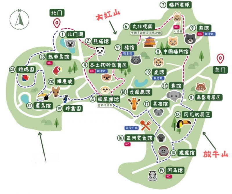 南京红山森林动物园打卡推荐路线