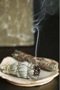 白鼠尾草：古老草药的现代奇效