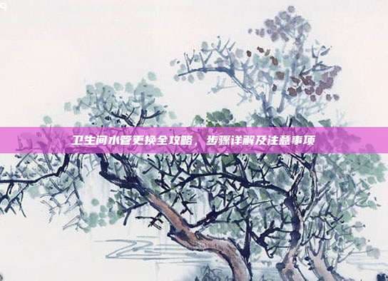 卫生间水管更换全攻略，步骤详解及注意事项