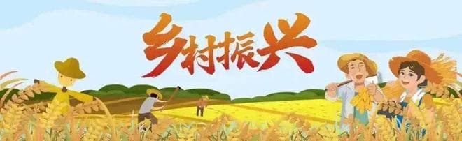 梦里水乡！福州又一个宝藏古村，火了！