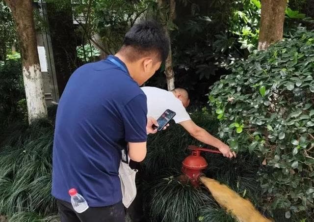 业委会成立后做这三件事，筑牢小区基石，保障业主权益