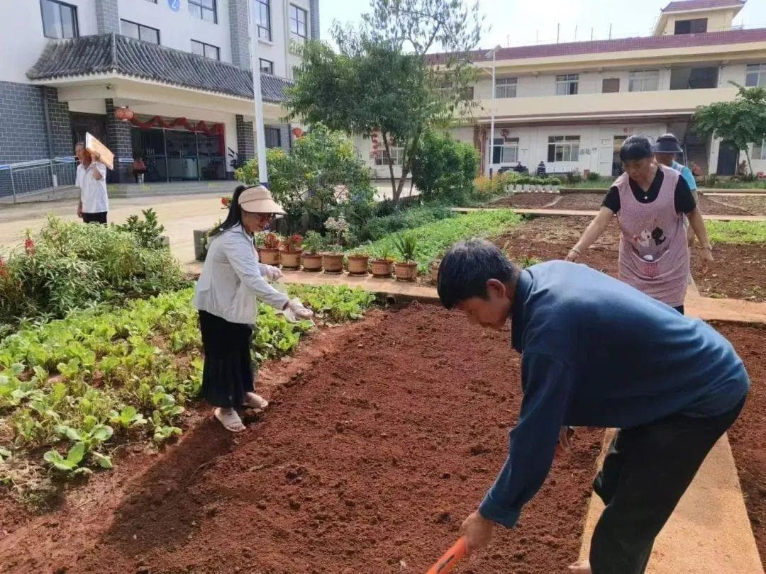 普洱这个养老院里，正在流行“种菜社交”