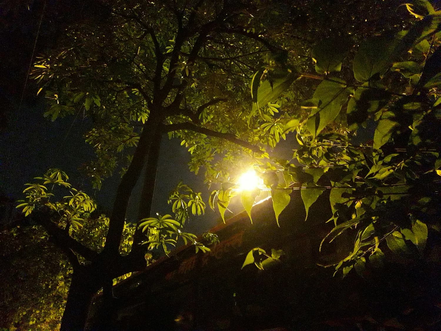 杭州美景，白居易笔下的诗意天堂