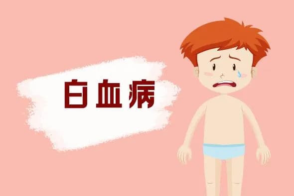 慢性粒细胞白血病病程分期