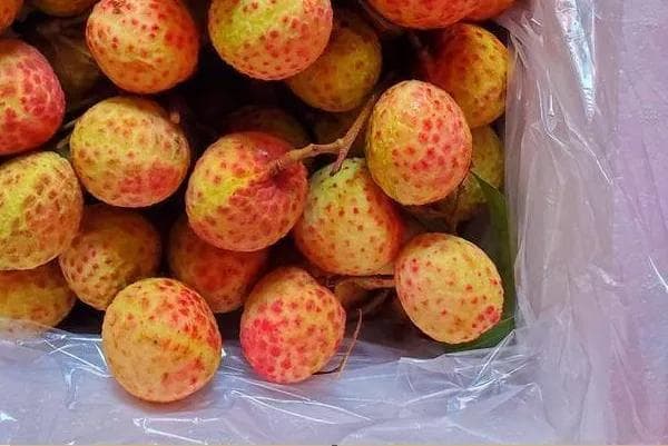 国内十大顶级水果排名