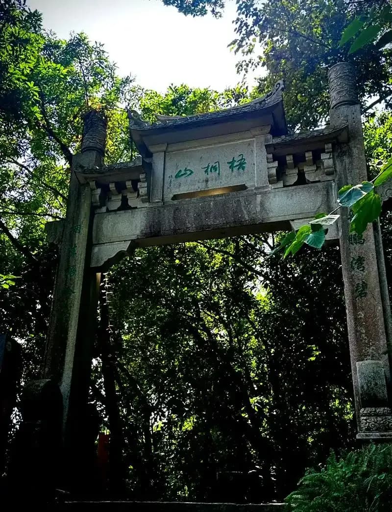 深圳亲子徒步全攻略：五大景点详解，解锁城市中的自然秘境