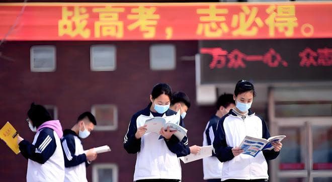 新高考政策下的科目选择与志愿填报指南