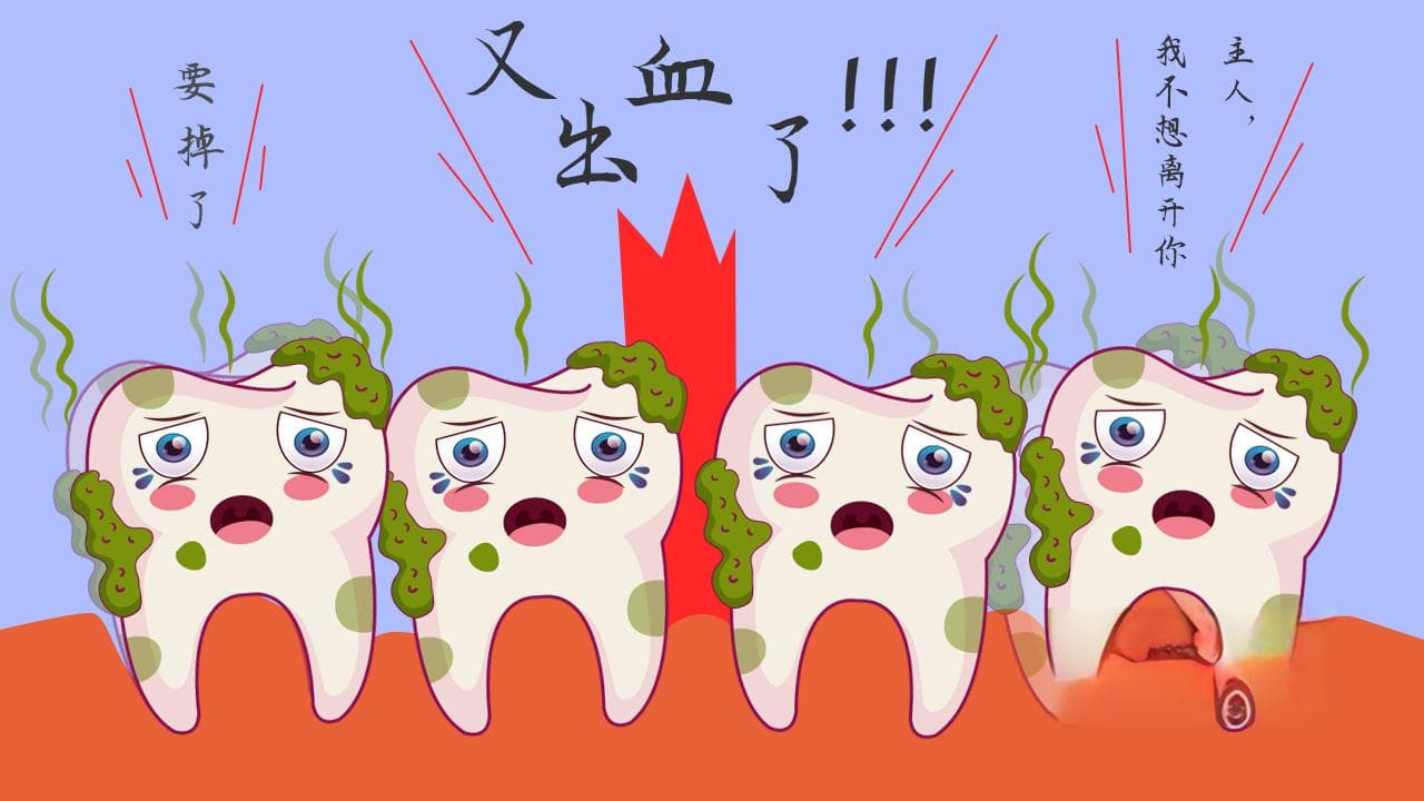 牙髓炎与牙周病有何区别？如何区分两者？