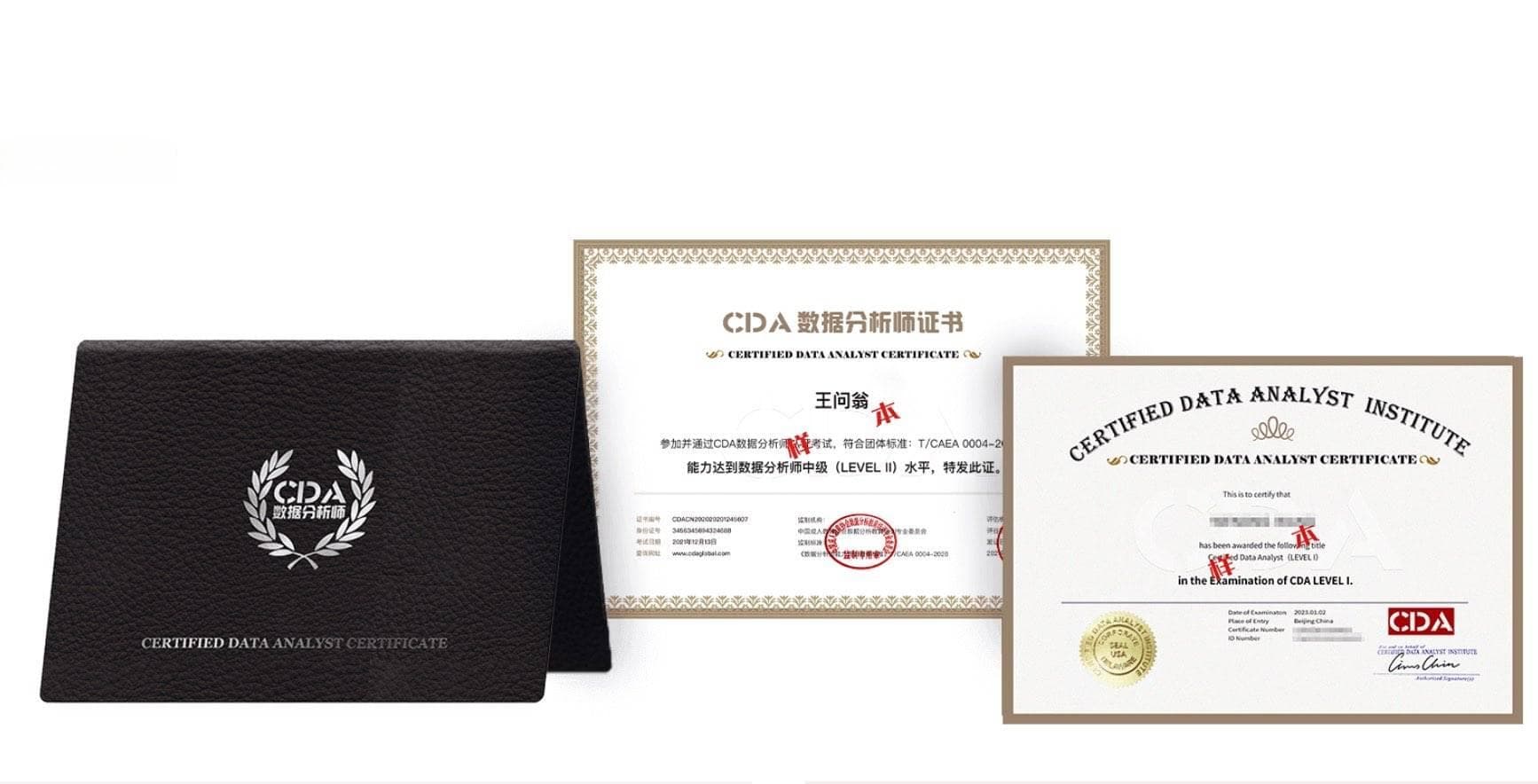 R语言是什么？从基础到应用的全面解析