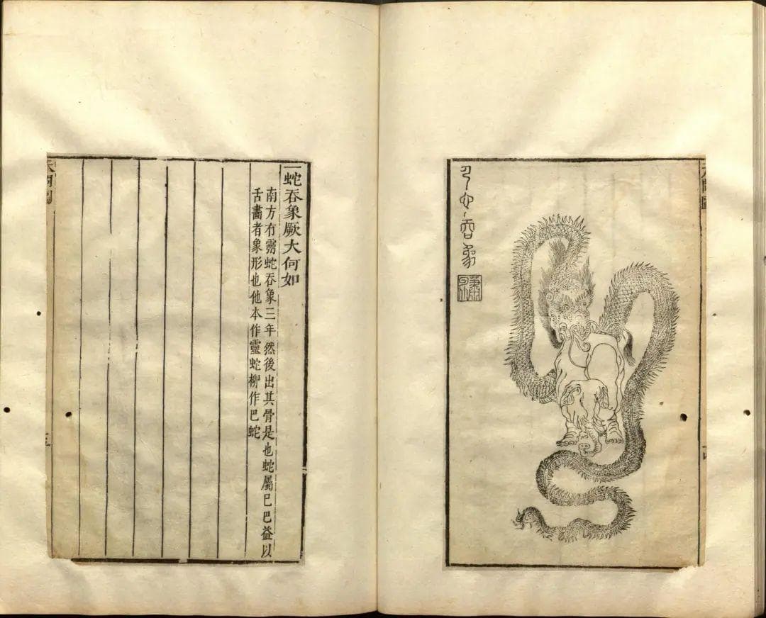 蛇年说蛇 | “人心不足蛇吞象”，蛇嘴为什么能张那么大？