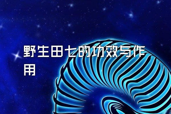 野生田七的功效与作用