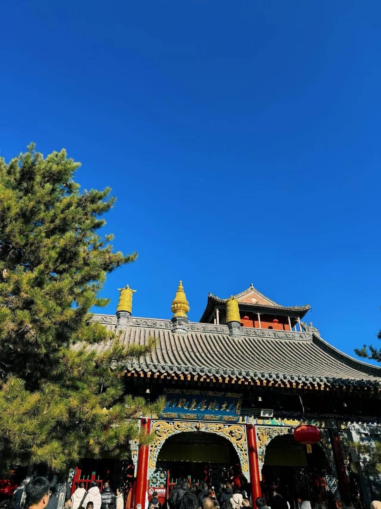 元旦去五台山朝圣，跟着玲玲走不踩雷！