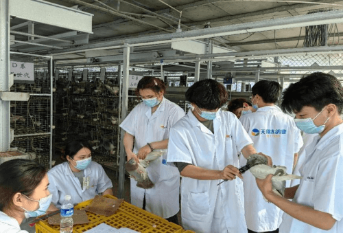 广东科贸职院"千生连千村"项目：以实践赋能梦想 用技能点亮未来
