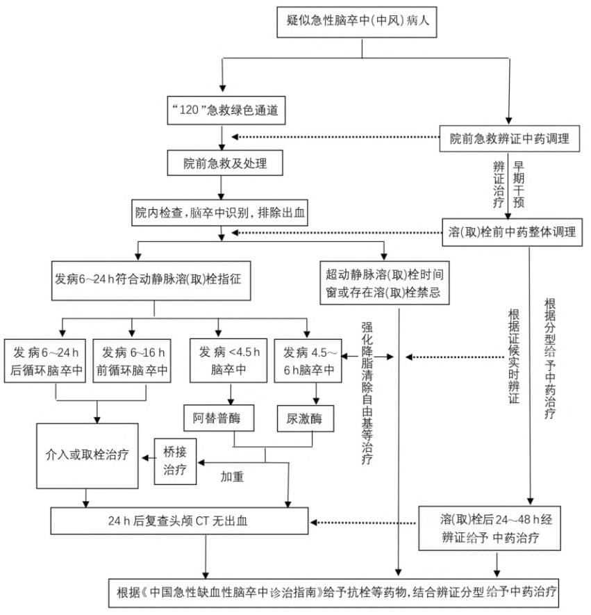 脑梗死急性期中西医结合诊疗专家共识发布