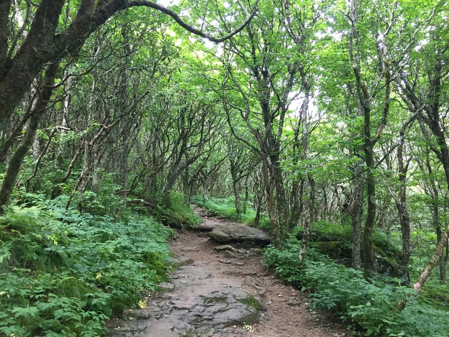都江堰红塔山&灵岩古街：一条适合全家的轻松徒步路线