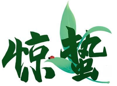 惊蛰时节养生保健：三款中药代茶饮推荐