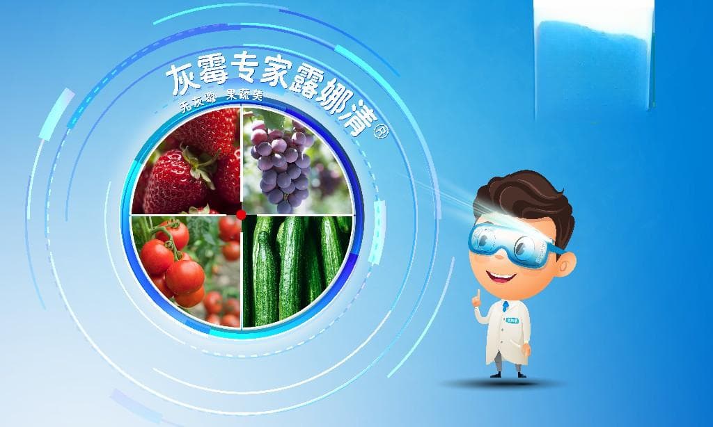 权威解读：2024年全国棉花产量实现增长