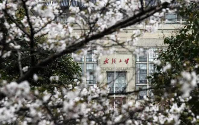 武大参观无需预约，校园开放有哪些作业可抄？