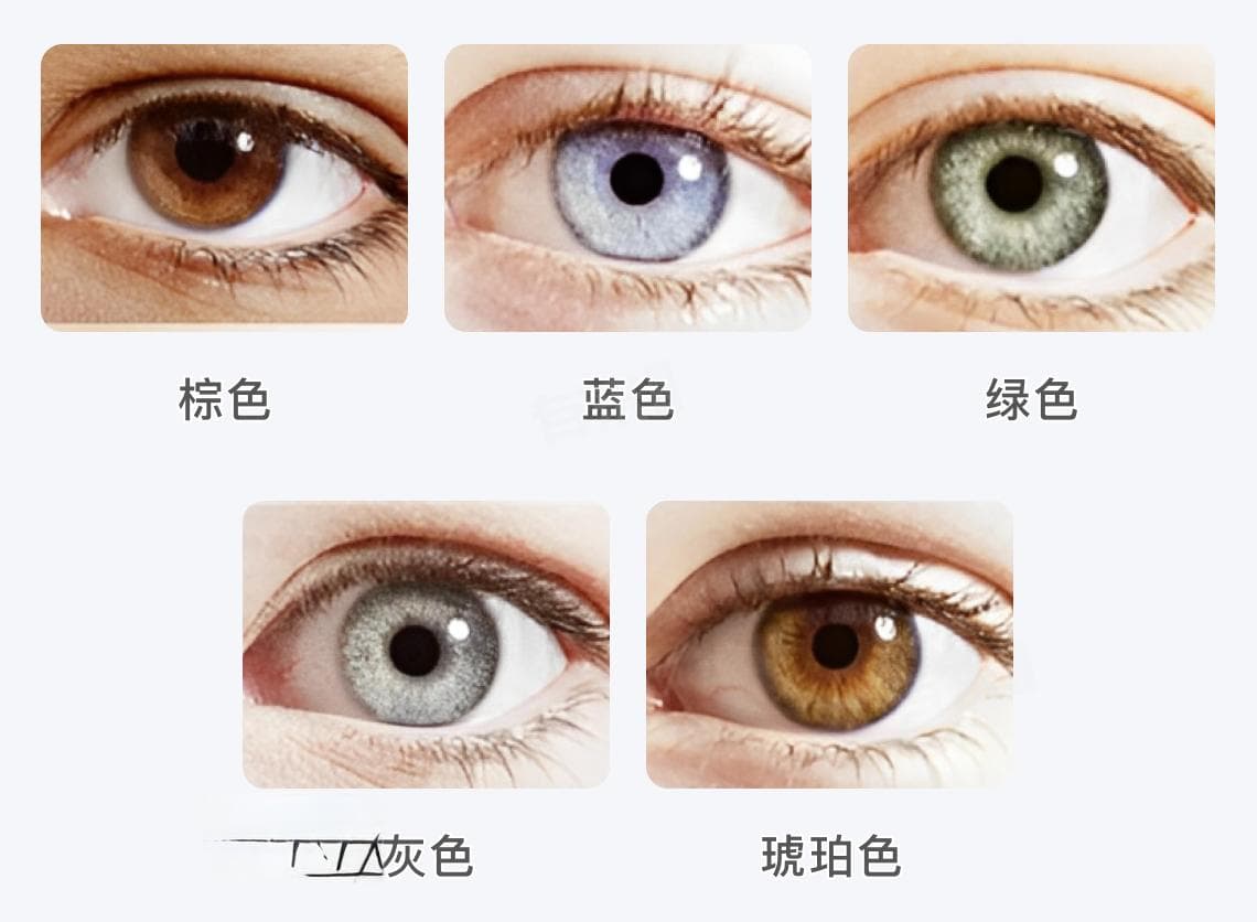 瞳孔颜色：人类虹膜的五彩世界