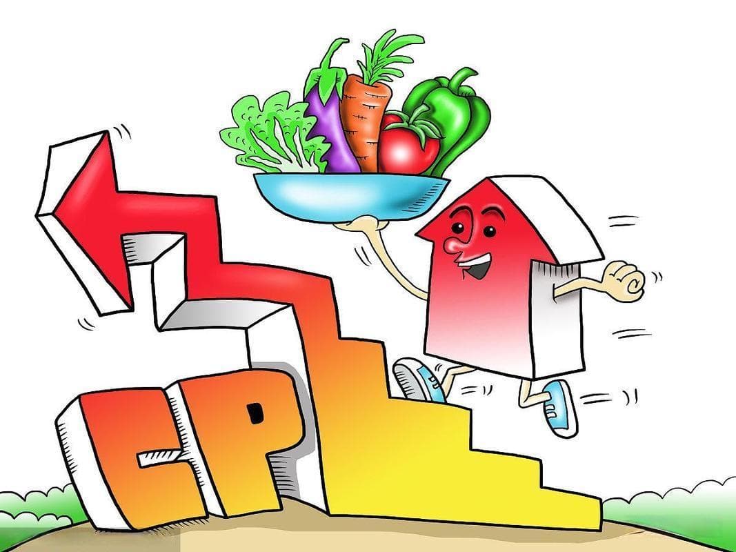 物价指数波动牵动经济全局，CPI变化影响七大领域