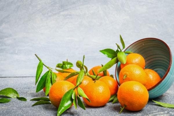 一个橘子的热量是多少？蜜桔热量高吗易长胖吗