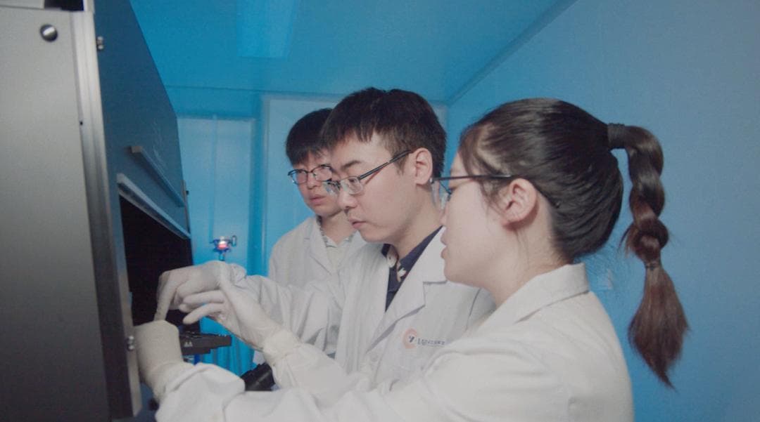 洞察微纳操作，甬江实验室科研综述登上国际顶刊Physics Reports