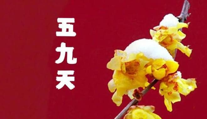 明日初六，迎财神逢立春，4类人需要躲春，春在五九尾有何预兆？