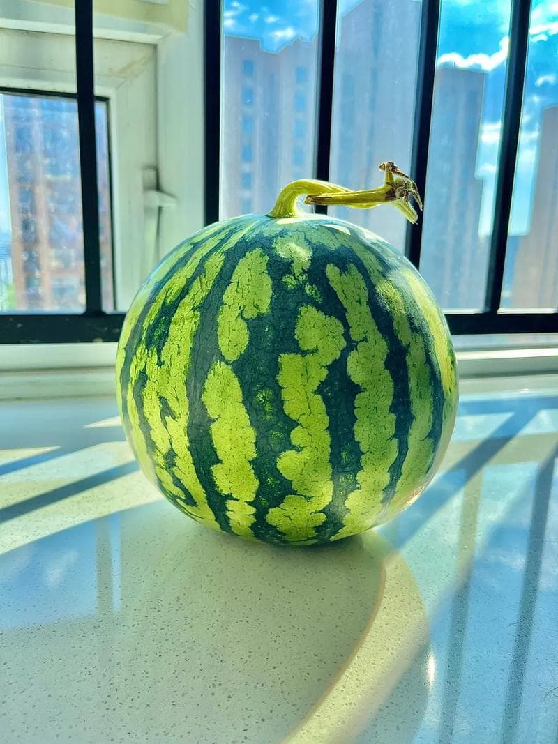 西瓜名字的由来，你真的了解吗？